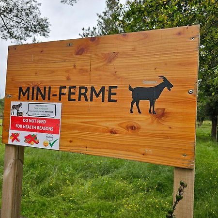 Mobil-Home 6 Personne - Tohapi Coeur De Vendee La Boissiere-de-Montaigu Εξωτερικό φωτογραφία